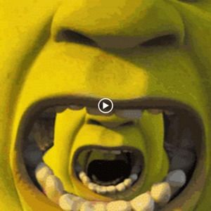 Meet your Posher, Cody